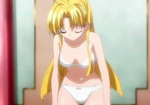 highschool dxd new