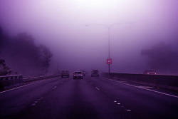 zcq:  “Fog on the road” by Jozef