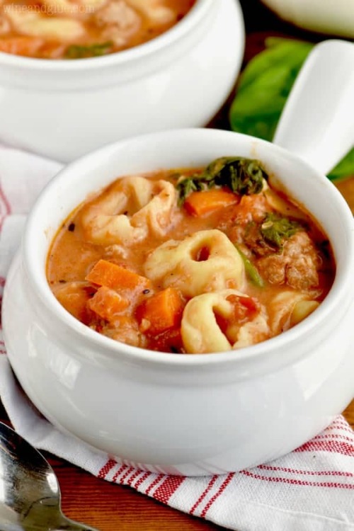 Creamy Tortellini Soup