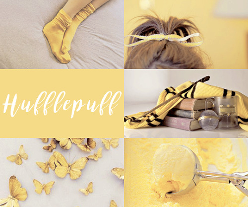 ginnyweasleu:  Hufflepuff Thunderbird Aesthetic    ↳ requested by @justacrazyfangirl 