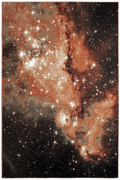 myampgoesto11:  Stellar area rugs designed by Schöenstaub 