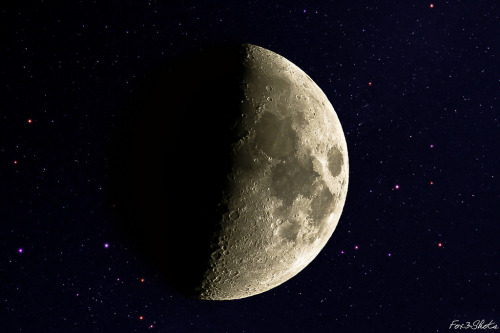 galaxyshmalaxy:Moon 17/05/13 19h43Z (by fox3shots)