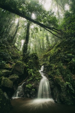 radivs:Little Cascades by Drew Hopper