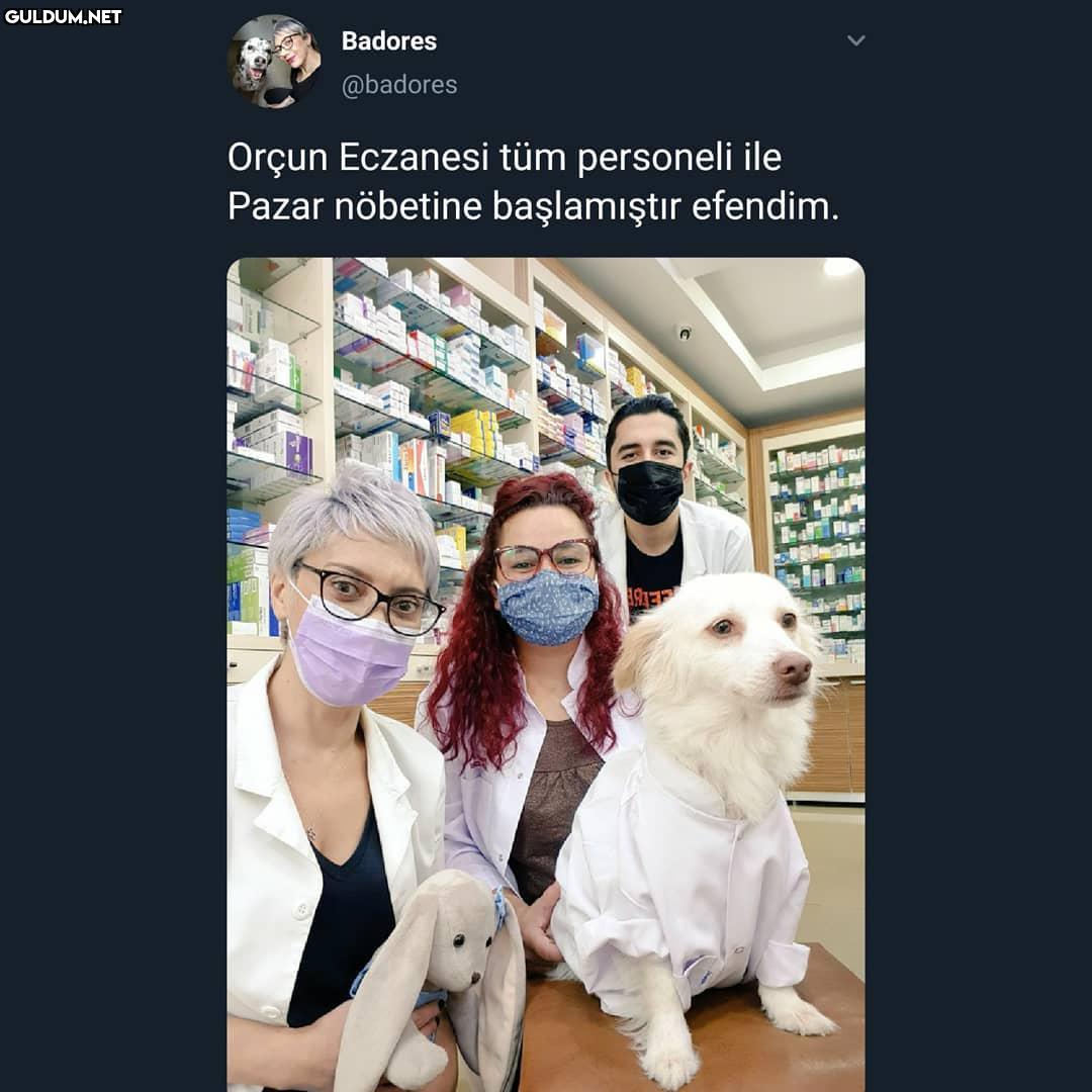 Tatlılığa bak...