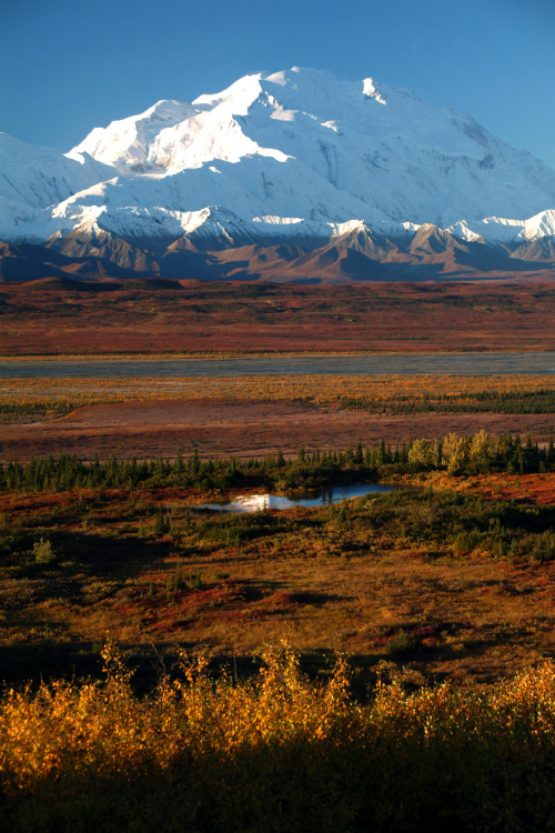 kqedscience:The National Parks: America’s Best Idea Can you name the first National Park founded? Se