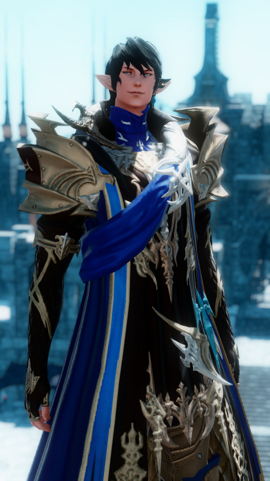 Lord Commander, Ser Aymeric De Borel.