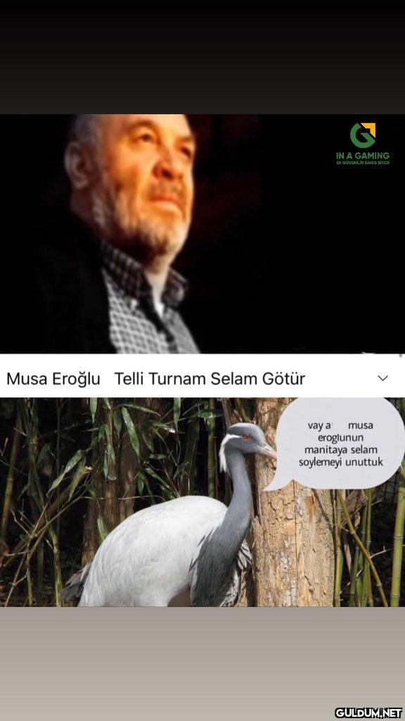 Musa Eroğlu Telli Turnam...