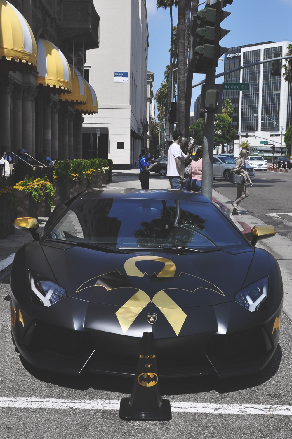 envyavenue:Beware of Bat | Photographer