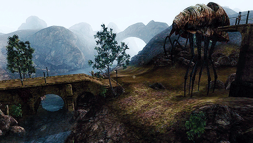 blighted-elf:The Elder Scrolls III: Morrowind scenery - Balmora