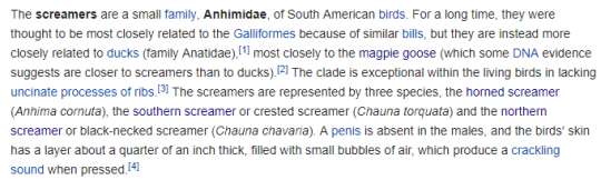 fumbledeegrumble:  zestful-guitar:  gallusrostromegalus:  luxtempestas:  antenna?  check. claws?   check. nonsensical taxonomy?  check. lets roll out.  Please behold the Completely Fucking Absurd Noise these animals make, which is Almost Entirely Unlike