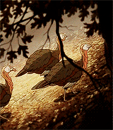 zireza:  🍂 A u t u m n : A New Beginning 🍂 “Steam rising underneath a canopy