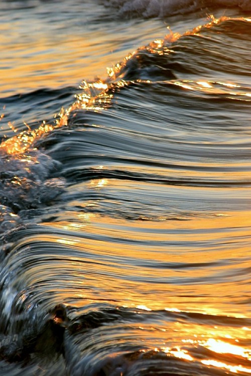 Surf Fear