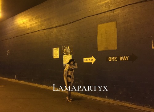 lamapartyx: 庆祝三千粉