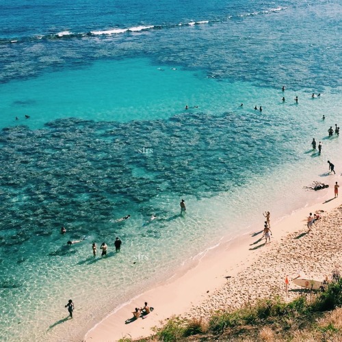 serhenities:enter paradise here  || ghossip