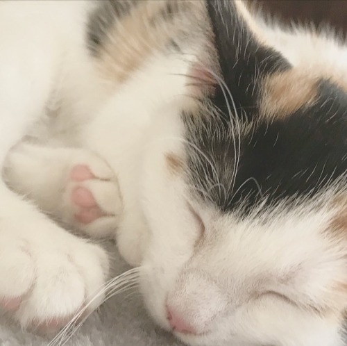 malnedott:so tired