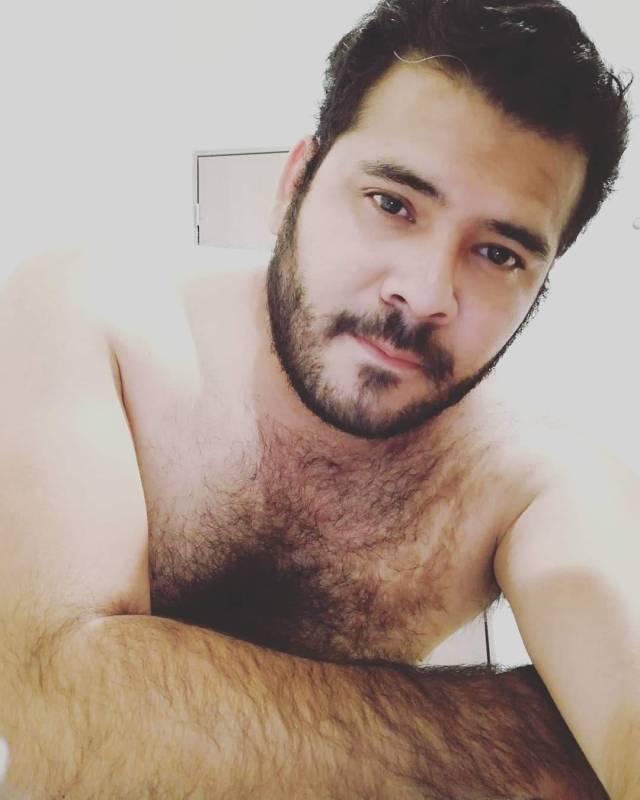 bear-hairy:Déjanos tu comentario 🐻 . Rebloguea y comparte el contenido si te