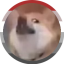rabiesrabiesdog