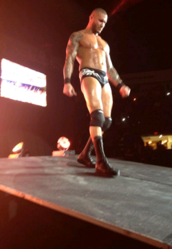 alyssafigz:  RANDY ORTON  Fuck me, You are so handsome! *.*