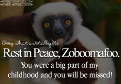 omgthatstotallyme:  On Monday, Jovian the lemur (the monkey who played zooboomafoo) passed away at the age of 20.5. Rest in peace little guy! You were a huge part of my childhood. ♡