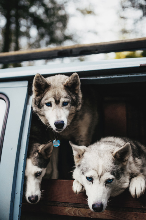 envyavenue:  Best Friends / Dylan Furst 