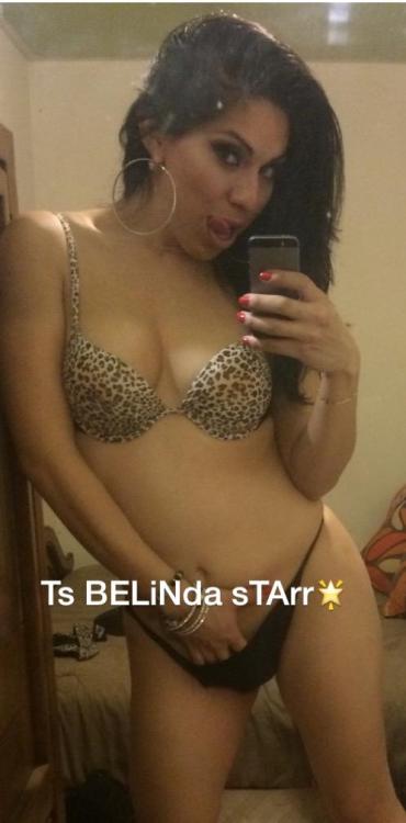 chicagotrannyreviews:  SHARE EXPERIENCES:  TS BELINDA STARR:http://chicago.backpage.com/Transgender/stop-looking-more-come-see-stars/55440233