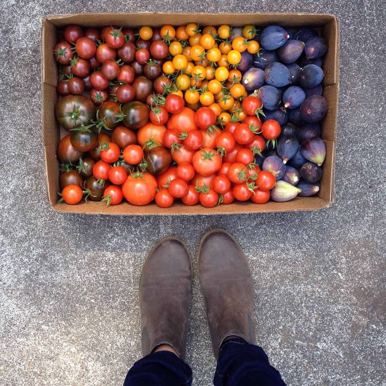 meditategravitate:  opasgarden:  Tomatoes and figs for days.   omg i would CHOW