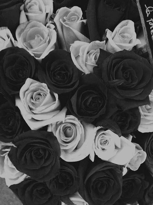Forget about me.