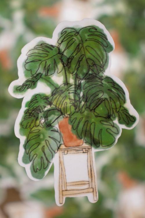  Monstera Plant Sticker // SerenesArtStore 