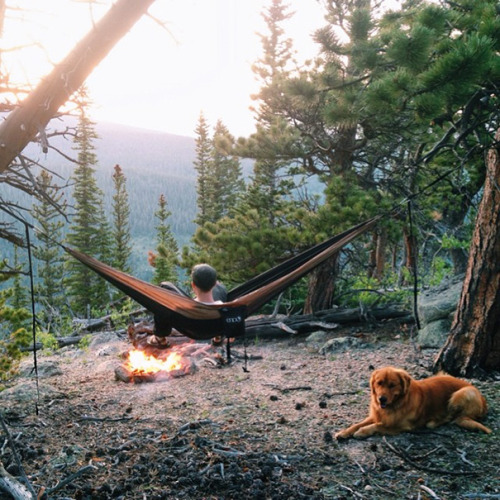 boredpanda: Human Takes His Dog On Epic Adventures, Proves That Dogs Are The Best Travel Buddies