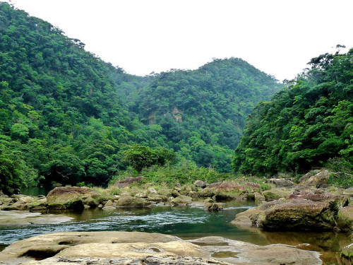 Urauchi River, Iriomote Island