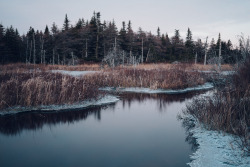 lafrenieremarc:  Blackhead Road, Newfoundland,