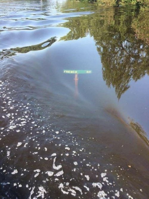 Filthy Filth Filth - September 3rd, 2017, submerged street sign on French Street in Lumberton, Texas