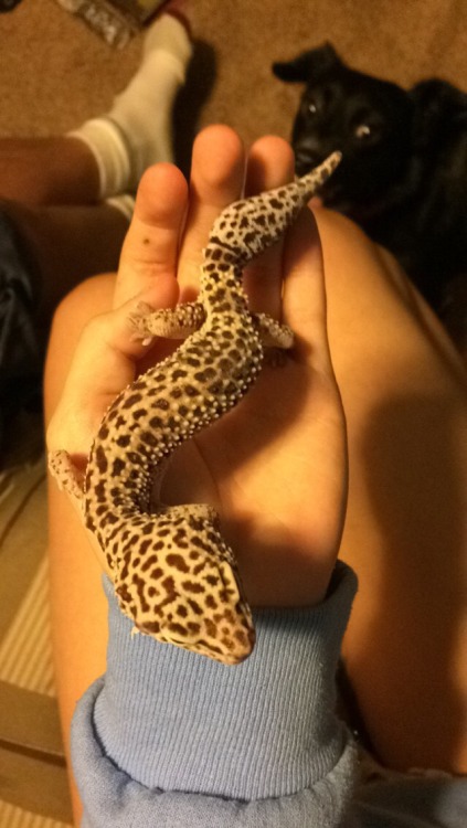 drownmeinpringles:Got to meet this beautiful baby girl today! william-snekspeare