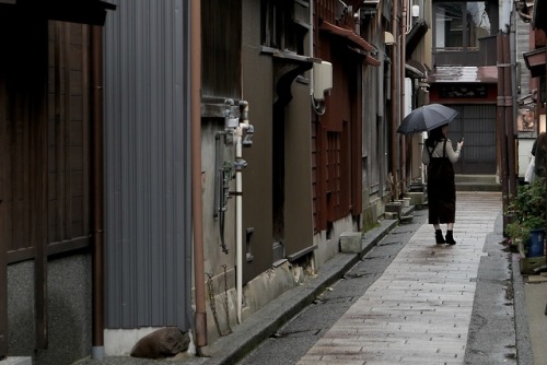 Streets of Geisha DistrictKanazawa, JapanOctober 2018A walk through the laneways of the old geisha d