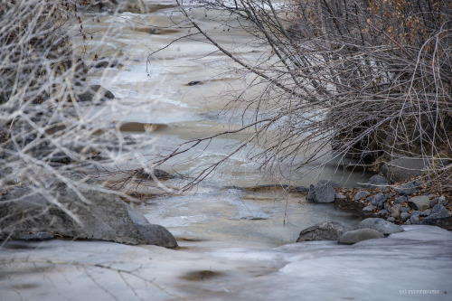 riverwindphotography:Scenes along a frozen stream, Shoshone National Forest, Wyoming© riverwindphoto