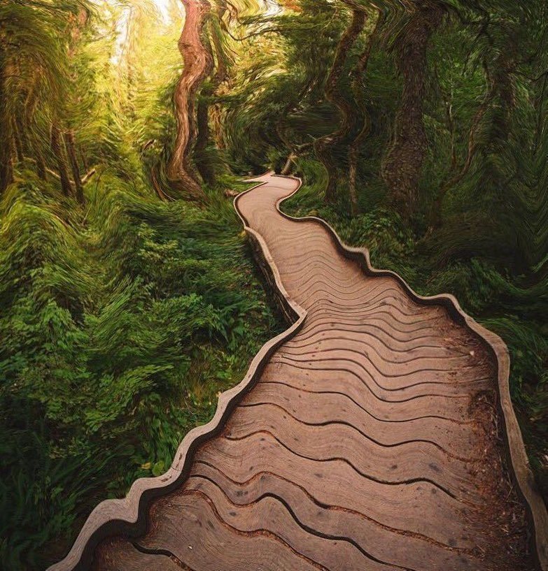 thepsychedelicmaniac:  #psychedelic #psychedelics #psychedelicart #shrooms #mushrooms