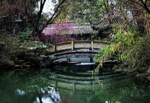 fuckyeahchinesegarden:Chinese garden in spring