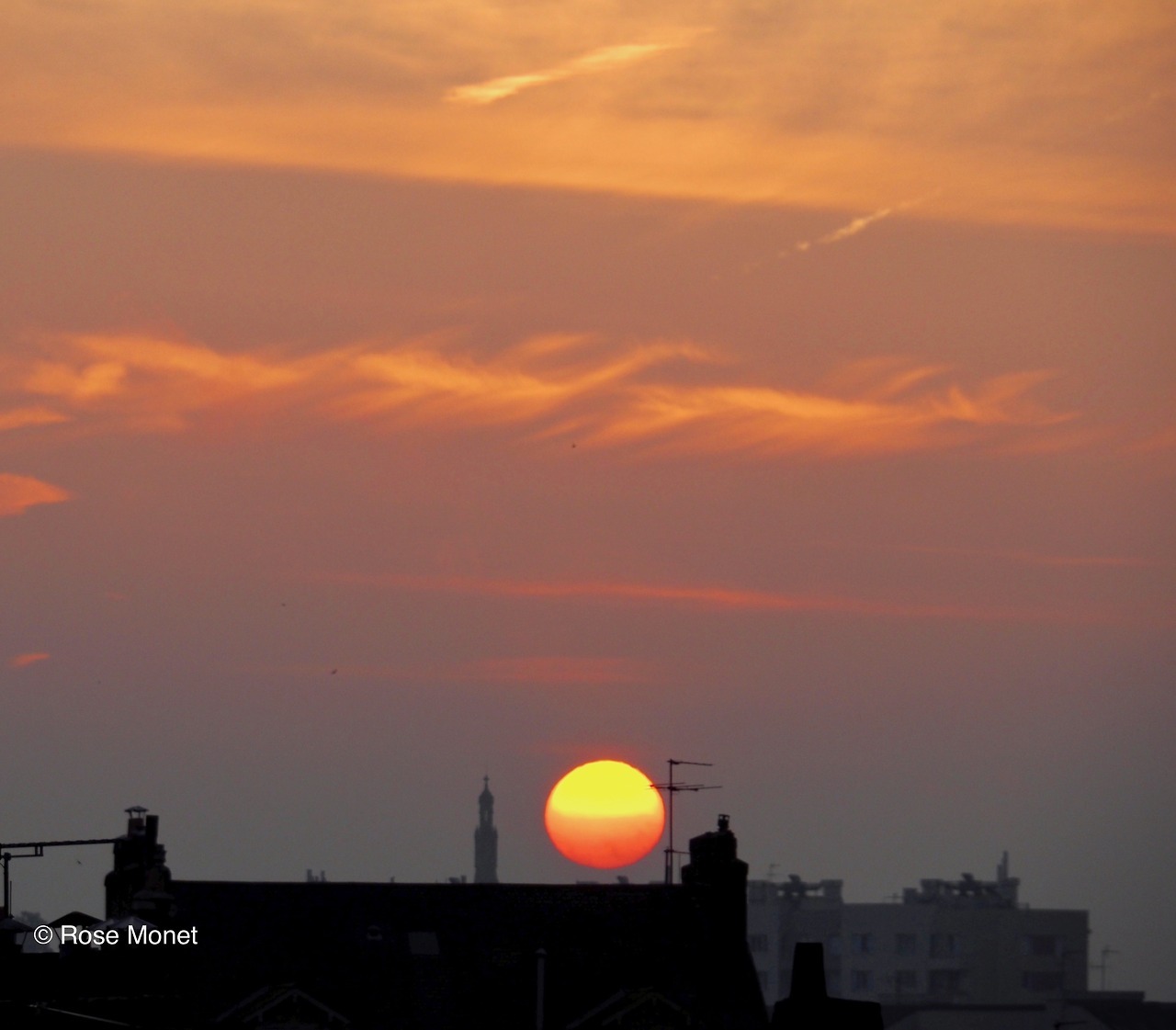 rosemonetphotos: 05&gt;2017Nouveau jour ..New  day ..