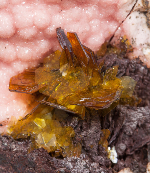 Shigaite with Rhodochrosite and Siderite - N'Chwaning I Mine, Northern Cape Province, South Africa