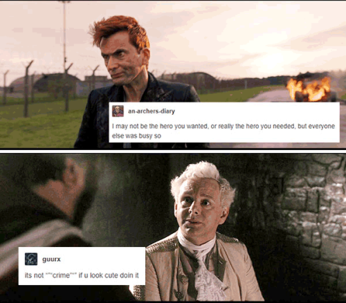 livebloggingmydescentintomadness:good omens text post meme, part 3 (part 1) (part 2)