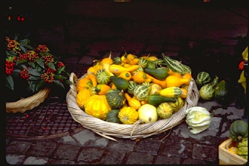 Der Frühherbst Anzeige der Kürbisse, Lebensmittelgeschäft,  Zürich, die Schweiz, 1998.