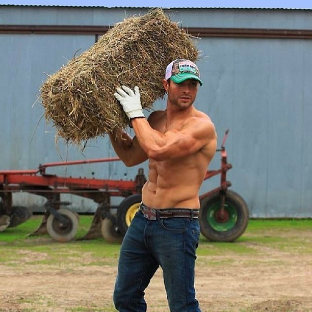 malebodydisplay:  Nice country boy!  #malebodydisplay #gay #instagay #body #fitness