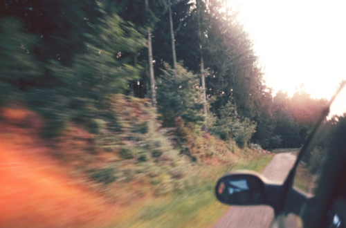 alternated:This summer feeling, took with nostalgia, drunk and dreamer by Vincent Beck Mathieu