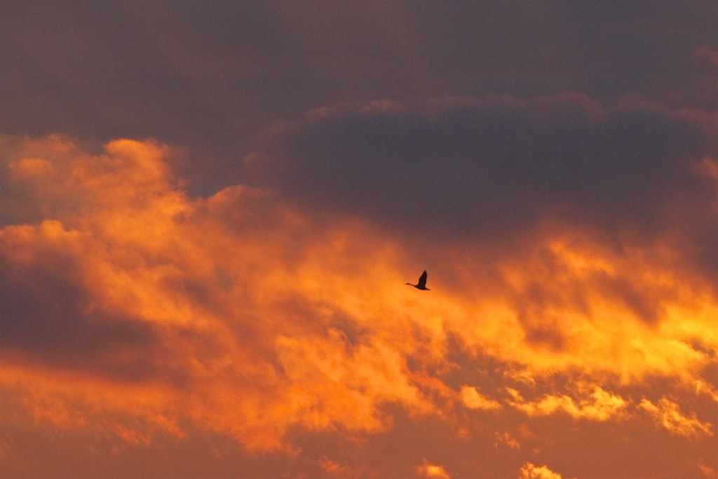 julesofnature:   “What I am really saying is that you don’t need to do anything,
