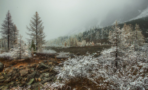 XXX expressions-of-nature:Altai Mountains by Vladimir photo