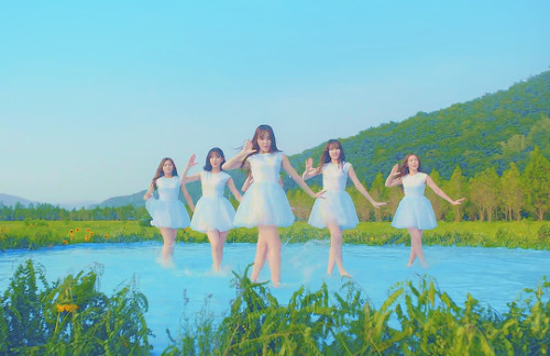 parksooyoung:  “a heart fluttering moment,when rain drops fellwithout warning.we held hands and ran.on top of the messy flower road,i’m with you.”  ― gfriend “love whisper” (2017)