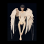 1roomangel
