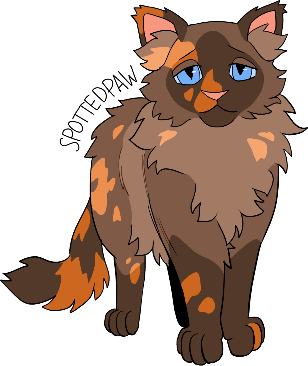 Warrior Cats Stuff