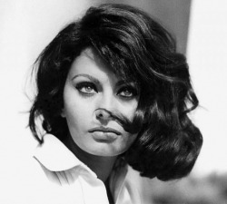 gjvdbent:  Sophia Loren 