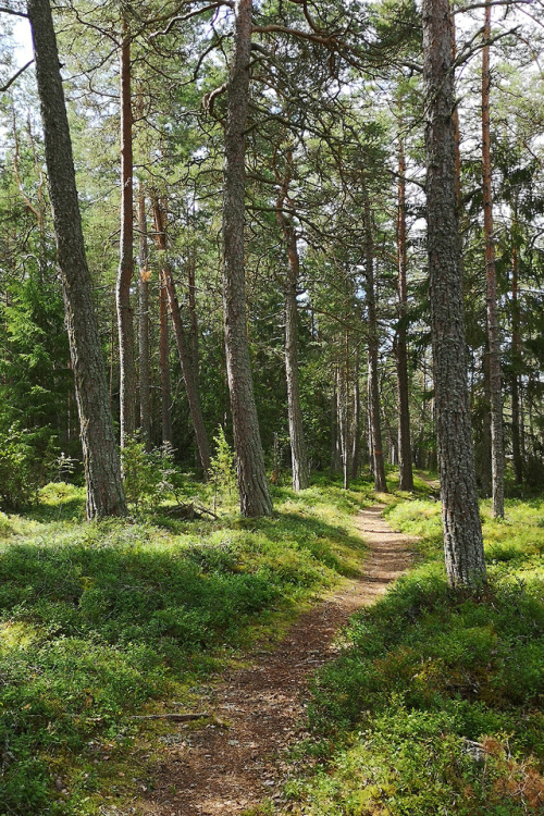 Sibberön, Vålön and Kalvön. Three small islands located in Vänern, the lar